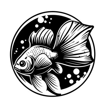 recommend clip art: Aquarium Fish
