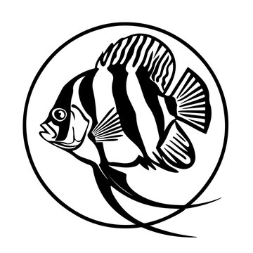 recommend clip art: Aquarium Fish
