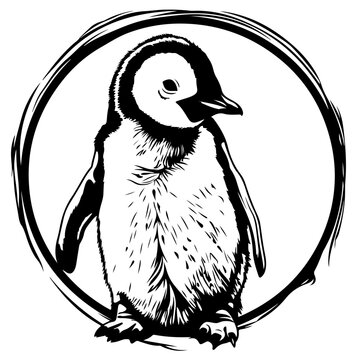 recommend clip art: Baby Emperor Penguin