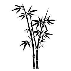 Bamboo plant silhouette