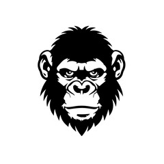 Chimpanzee head front