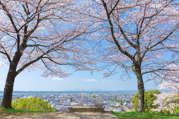 菊池公園からの街の眺め