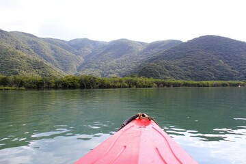 Kayaking the calm water of the mangrove forest river in Amami Oshima Island