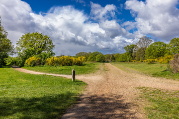 The ‘Ornamental Water’ runs for about 1km from roughly north-west to south-east. It consists of an inter-connecting system of channels in the eastern part of Wanstead Park.
