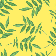 Marigold Flower Leaves Seamless Pattern. Floral Leaf Digital Paper.