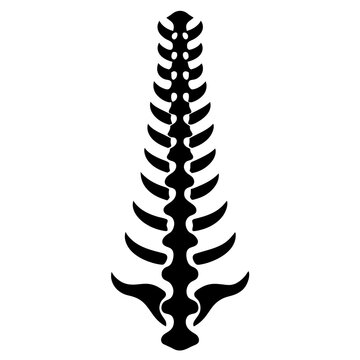 Spine human graphic icon vector
