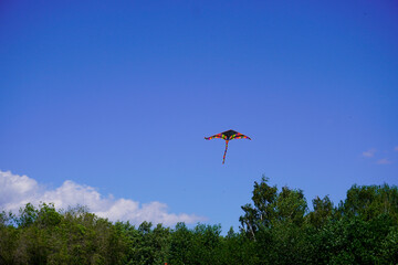 A kite flies in the blue sky