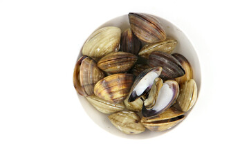 Closed up fresh baby clams, venus shell, shellfish, carpet clams, short necked clams, as raw food from the sea are the seafood ingredients. fresh clams Background.