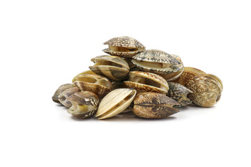 Closed up fresh baby clams, venus shell, shellfish, carpet clams, short necked clams, as raw food from the sea are the seafood ingredients. fresh clams Background.