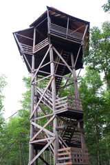 Wooden bird watching tower in Mangrove Forest in Thailand