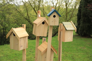 bird house