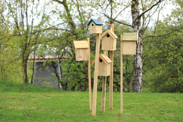 bird house
