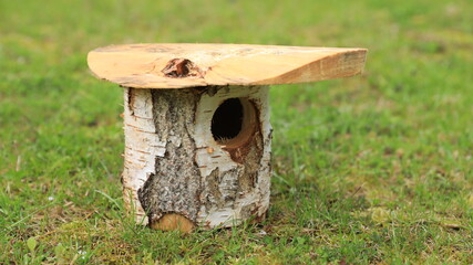 bird house