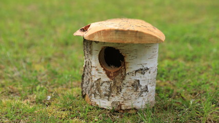 bird house