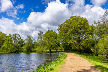 The Heronry Pond was constructed, alongside the other ornamental lakes around the southern and eastern sides of Wanstead Park, between the 1720s and 1740s.