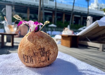 Refreshing coconut beverage 