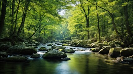 Naklejka premium Beautiful landscape of a river in a lush green forest.