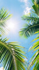 Many palm trees that are in the sun. Summer travel background 