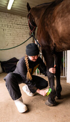 Person brushing horse's legs in stable