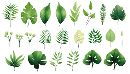 watercolor green leaves elements collection for Wedding Invitation botanical isolated on white background, Green leaves arrangements for greeting cards PNG.