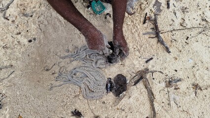 Frisch gefangener Fisch - Oktopus - auf Sansibar in Tansania - Tintenfisch vom indischen Ozean - 790547931