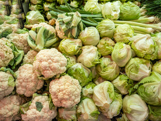 fresh organic vegetables at the market