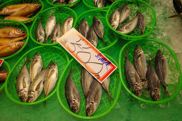 石川県金沢市の観光客の多い近江市町の鮮魚