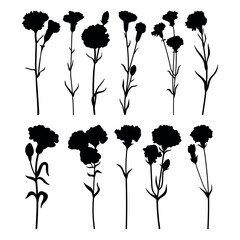 Carnation flower silhouette stencil templates - 790558729