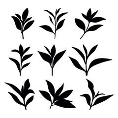 Tea tree leaves silhouette stencil templates - 790558754