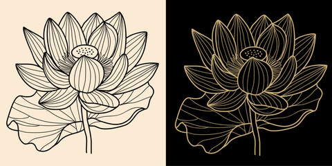 Lotus, Water Lily flower line art drawing. Hand drawn sketch with black, gold lines. July birth month flower. Modern design for tattoo, logo, cards, packaging, wall art. Vector illustration isolated.