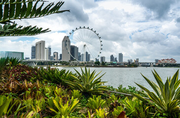 Singapore Flyer against city skyline. Iconic landmark towering over urban landscape, capturing vibrant energy and modern architecture of Singapore