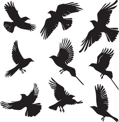 set of silhouettes of birds