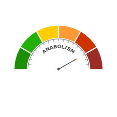 Anabolism low level on measure scale. Instrument scale with arrow. Colorful infographic gauge element. Anabolism is the building-up aspect of metabolism.
