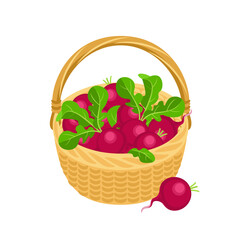 Basket with radish. Food icon. Vector cartoon flat illustration of red root vegetables.