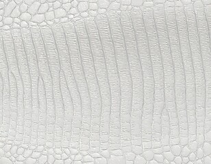 white crocodile skin texture