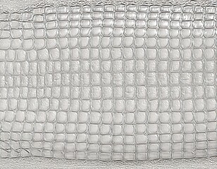 white crocodile skin texture