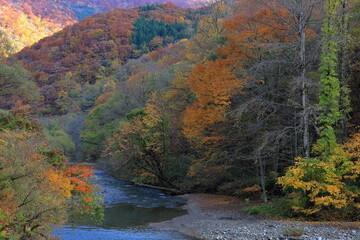 青森県、白神山地を流れる赤石川に秋の気配