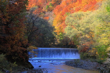 青森県、白神山地を流れる赤石川に秋の気配