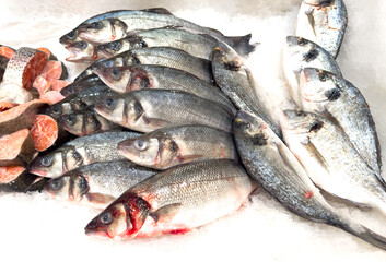 Trout fish in ice on a counter in a market as a background