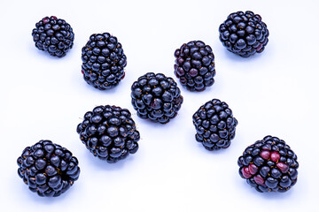 Close-up of several fresh blackberries in two crossing rows. Isolated against a white background.