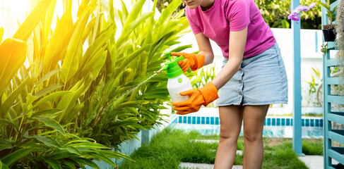A young woman takes care of the garden, waters, fertilizes and prunes plants - 790586571