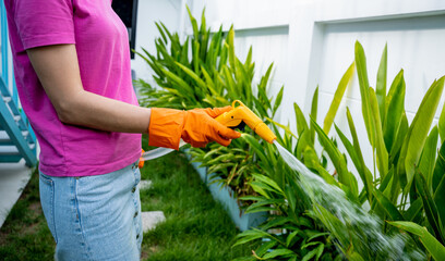 A young woman takes care of the garden, waters, fertilizes and prunes plants