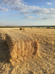 sheaves of wheat on the field and sky with clouds - obrazy, fototapety, plakaty