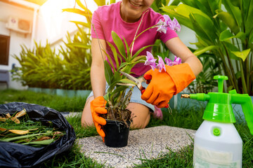 A young woman takes care of the garden, waters, fertilizes and prunes plants - 790587902