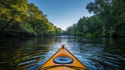Outdoor sports, kayaking on a calm river, lush green forest background, clear blue sky, mid-action...