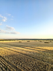 sheaves of wheat on the field and sky with clouds © Yuliia Bairachna