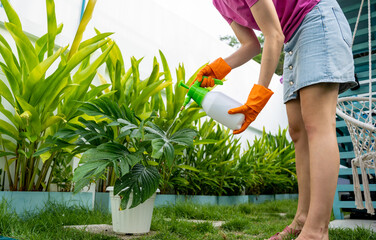 A young woman takes care of the garden, waters, fertilizes and prunes plants - 790592741