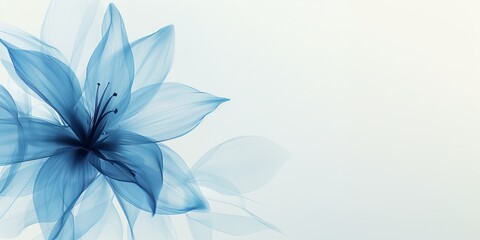 a translucent blue lily flower bud on a light background. a place to copy