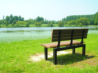 ベンチのあるみさと公園から見る対岸の夏の水元公園風景