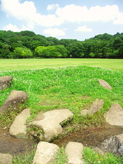小川と白ツメクサ咲く草原のある夏の21世紀の森と広場風景